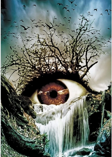 Teemantmaal – silm 30 × 40 cm