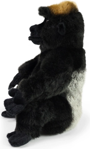 Realistic gorilla appearance