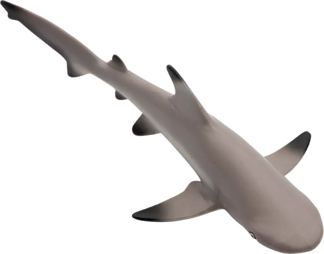 Iseloomulikud mustad uimeotsad