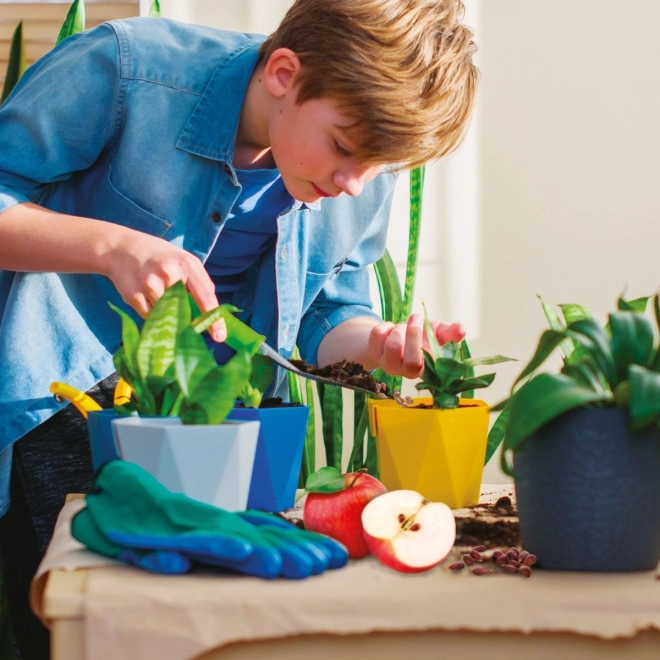 Fun gardening at home
