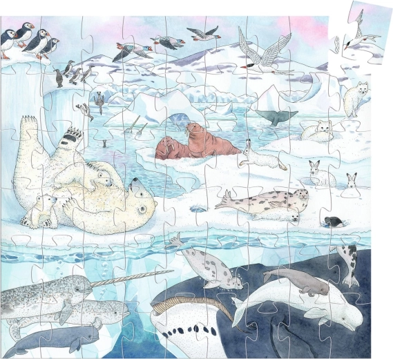 Beautiful illustration of the polar world
