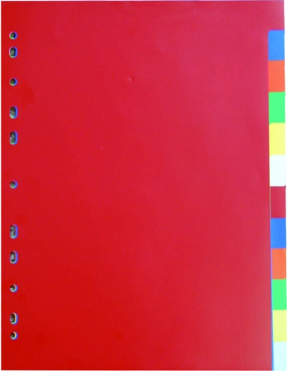 Document Divider A4 2x6 Colors