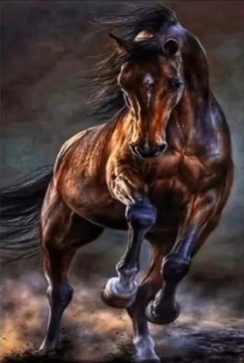 Norimpex teemantmaal metsik hobune 30 × 40 cm