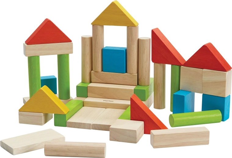 Plan Toys värvilised puidust klotsid 40 tk