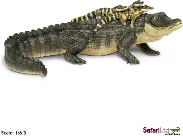 Safari Ltd. alligaator poegadega