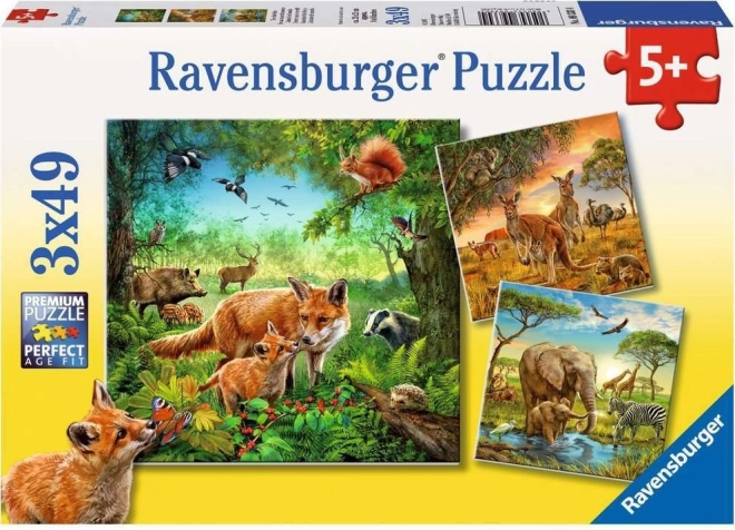 Ravensburger puzzle Animals 3×49 pieces