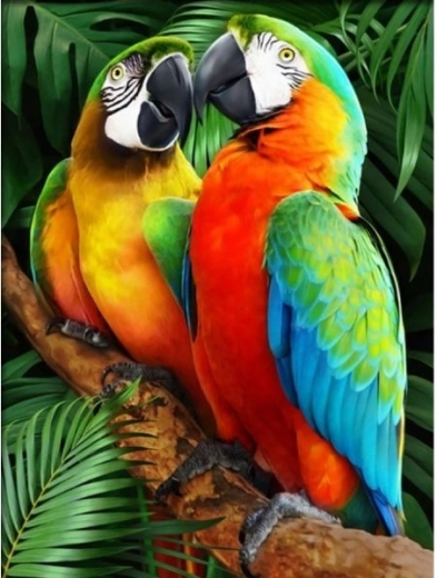Teemandimosaiik (diamond painting) Värvilised arad 30 × 40 cm
