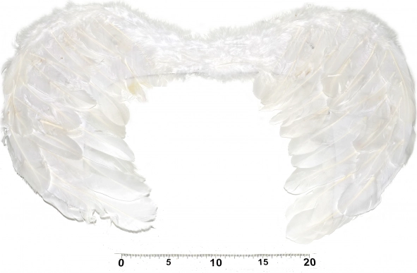 Angel Wings for Costume