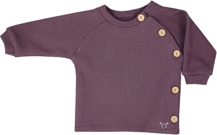 Baby long-sleeve shirt Koala Pure purple