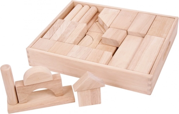 Suured puidust klotsid lastele Bigjigs