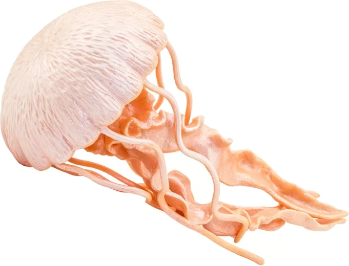 Safari Ltd. meduusi figuur – 1 tk