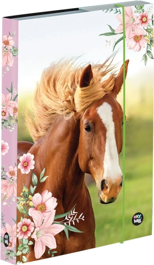 A5 Exercise Book Box with Horse Motif