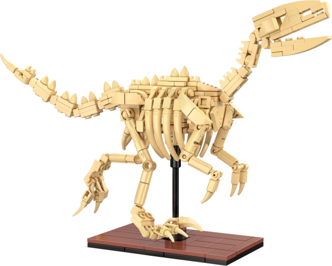 Helendavad skeletid ja väljapanekuks loodud teostus