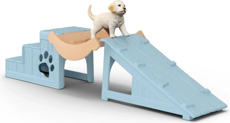 Agility course for endless fun