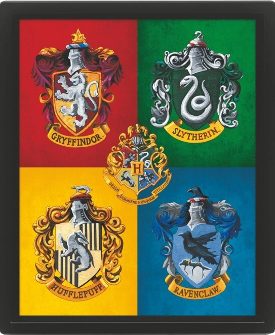 Värviline 3D pilt Harry Potter