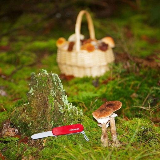 VICTORINOXi litsentsitud disain