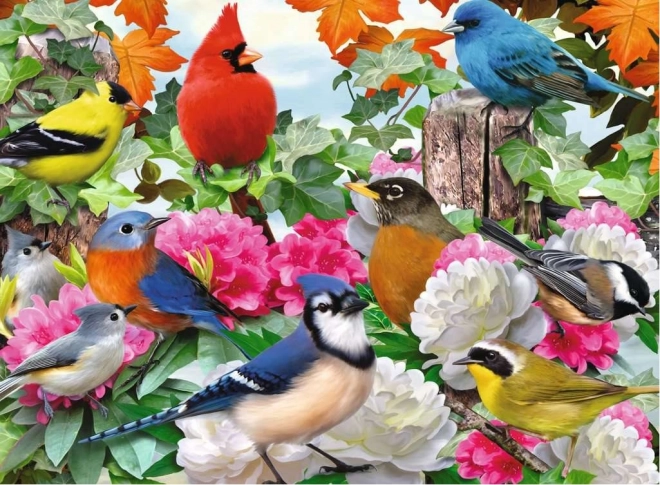 Ravensburgeri pusle Aialinnud 500 tükki