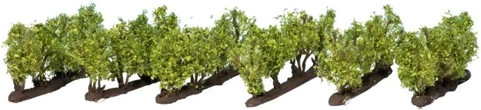NOCH Vineyard – set of 24 vine bushes (6 groups)