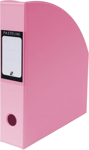 Pastelini roosa ajakirjahoidja A4