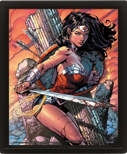 3D-pilt WONDER WOMAN Battle