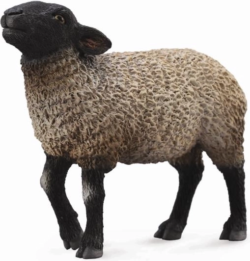 Collecta suffolki lammas, plastfiguur