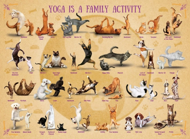 Yoga Puzzle XL 500 Pieces