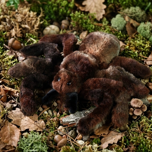 Eco-Friendly täidis