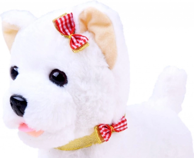 Responds to petting