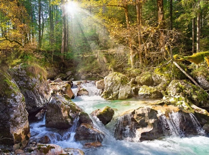 Puzzle Forest Stream 2000 pieces CASTORLAND