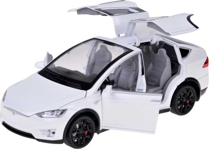 Opening doors and luggage compartment