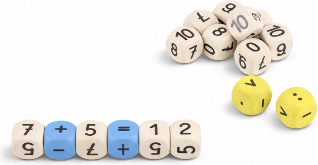 Wissner Math Learning Dice (16 pcs)