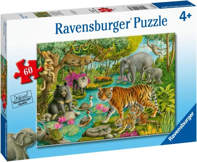 Ravensburgeri pusle India loomad 60 tükki