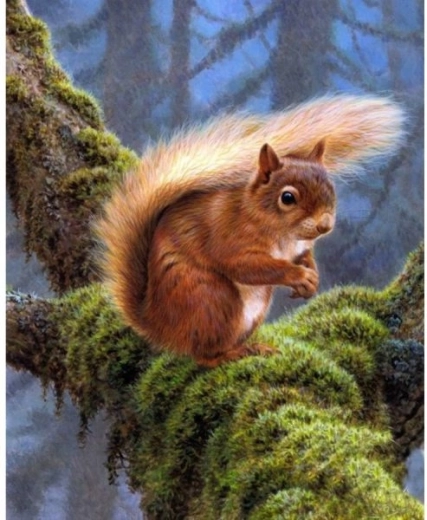 Teemanditikand (diamond painting) orav 30 × 40 cm – 1 tk
