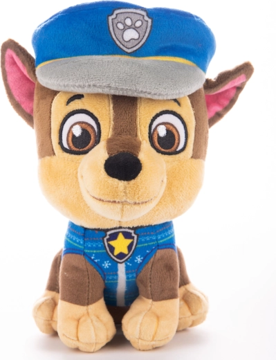 PAW PATROL-i lemmiktegelane