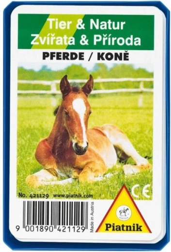 Kvartett – Hobused plastkarbis