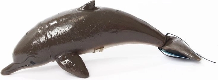 Delfiin 21 cm