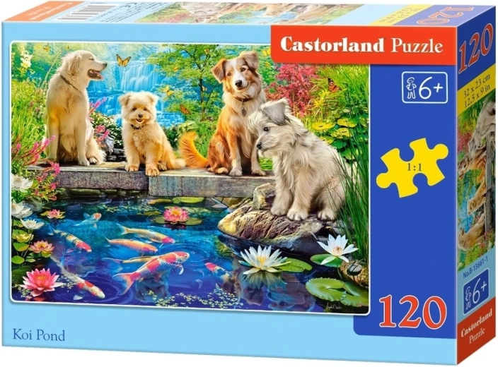 Castorlandi pusle Koi karpidega tiik – 120 tükki