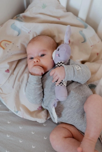 Õrn piiks kuulmise arendamiseks