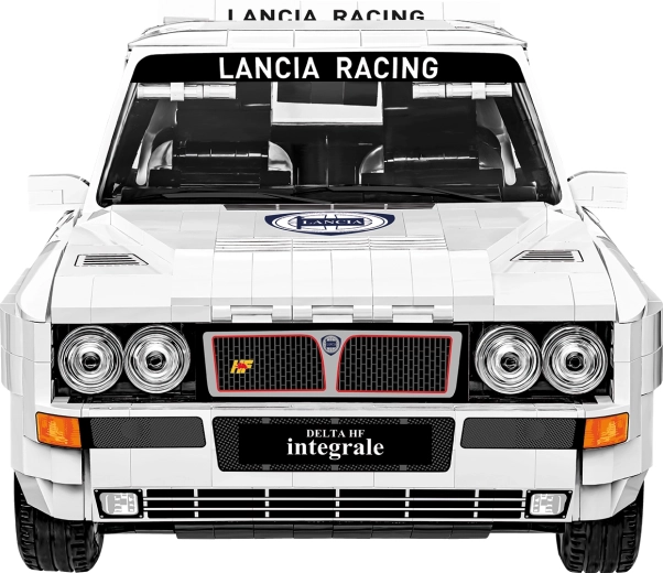 Ralliikooni detailne välimus