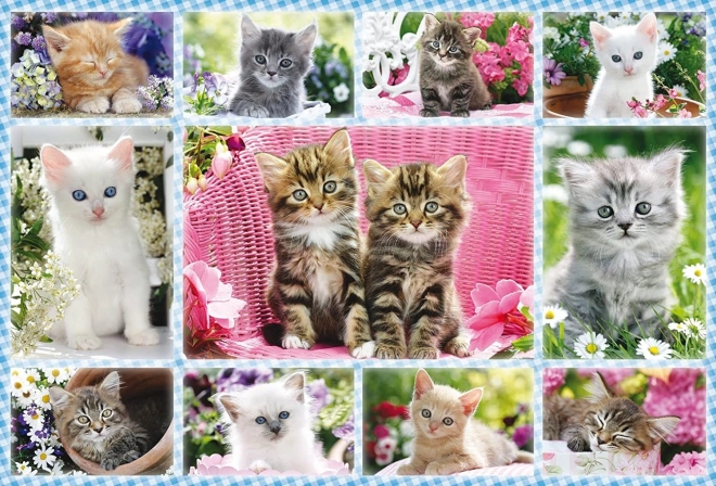 Kittens Puzzle 100 Pieces