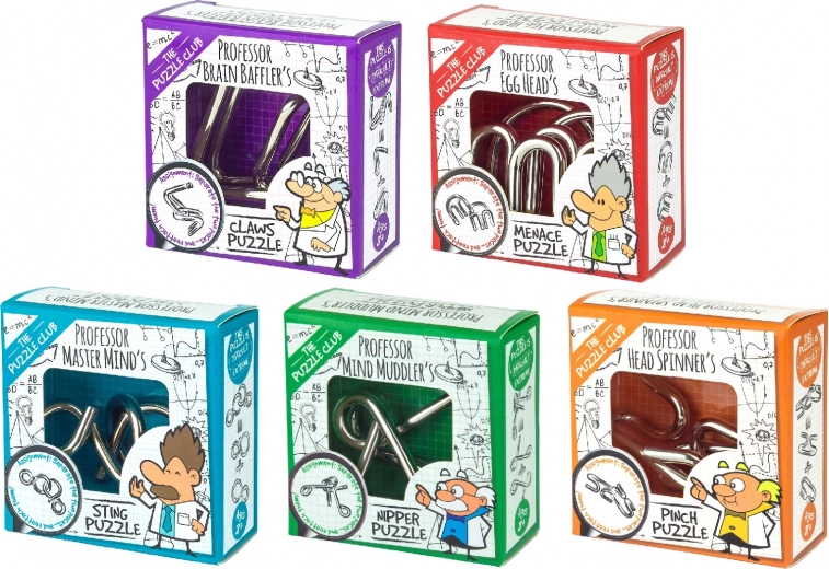 Professor Puzzle Metal Puzzle