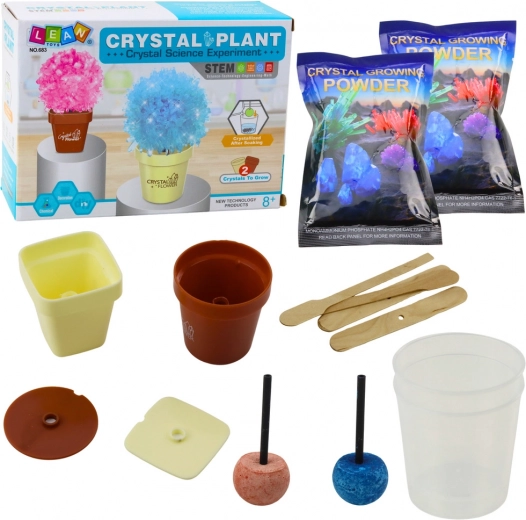 Educational Kit for Growing a Magic Crystal Tree