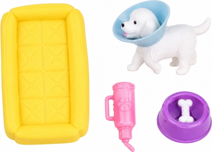 Dog in a protective cone collar for care play