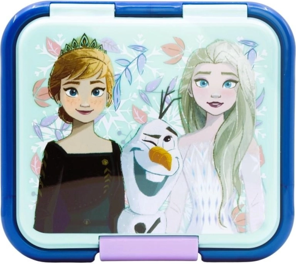 Frozen theme and secure closure