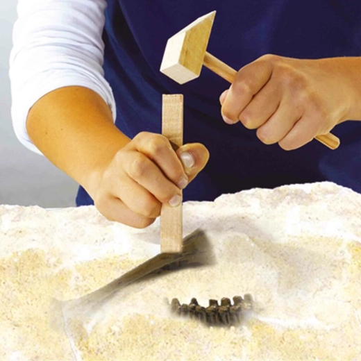 Väljakaevamised nagu päris paleontoloog