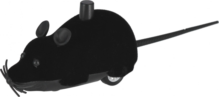 Lõbu erinevates värvides