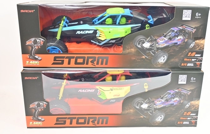RC buggy remote control car