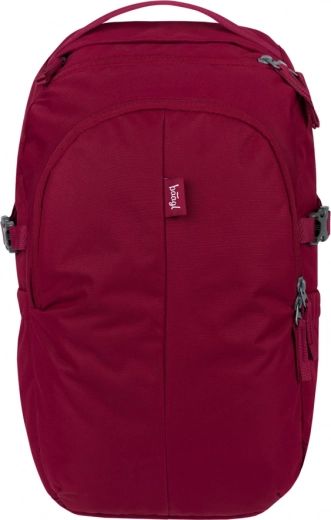 Baagl seljakott Dash burgundy