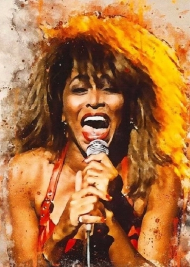 Norimpex teemantmaal Tina Turner laulab 30 × 40 cm