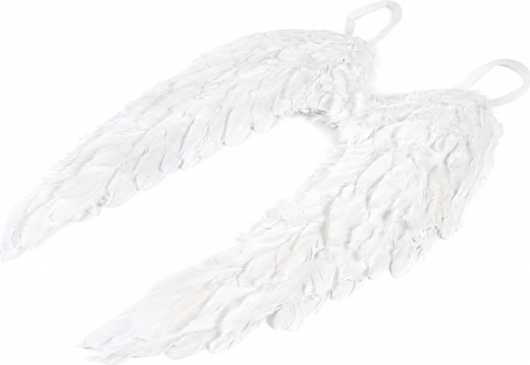 Angel Wings with Feathers 55 cm
